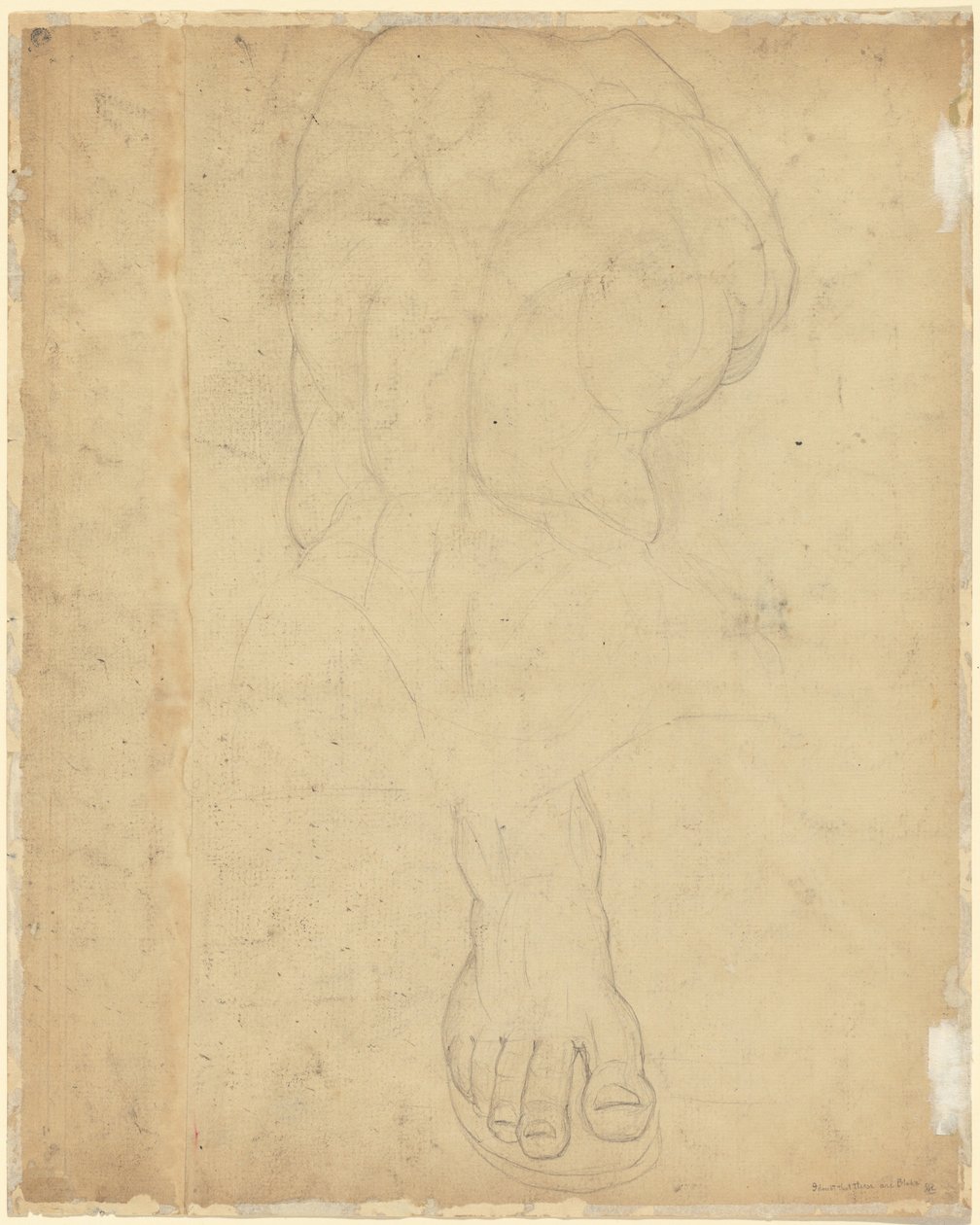 Der Belvedere Torso [verso] von William Blake