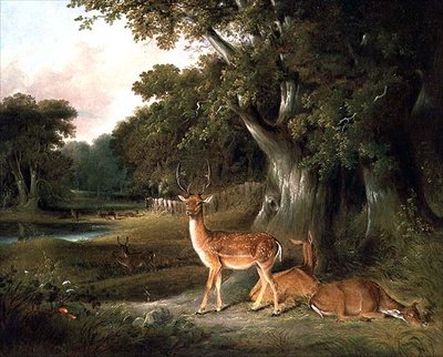 Hirsche in einer bewaldeten Landschaft von William Daniell