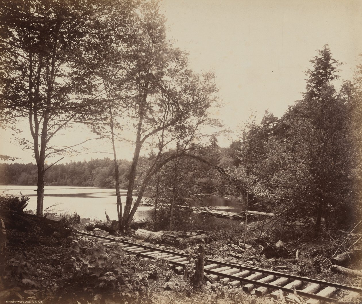 Buchenwaldsee von William H. Rau