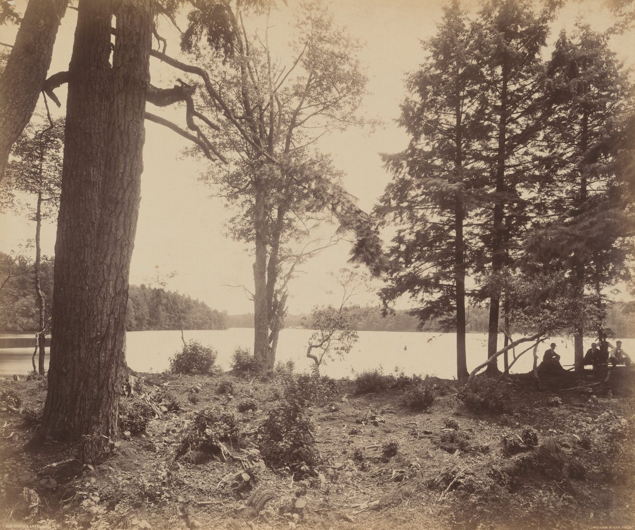 Ganoga-See von William H. Rau