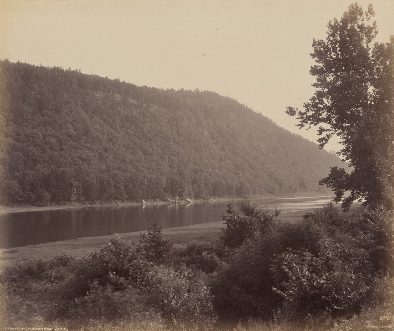 Susquehanna bei Standing Stone von William H. Rau