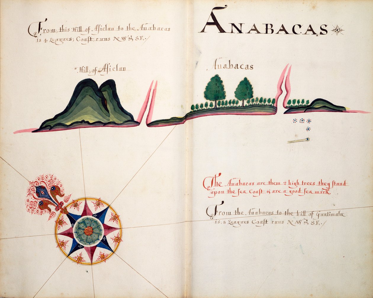 Anabacas von William Hack