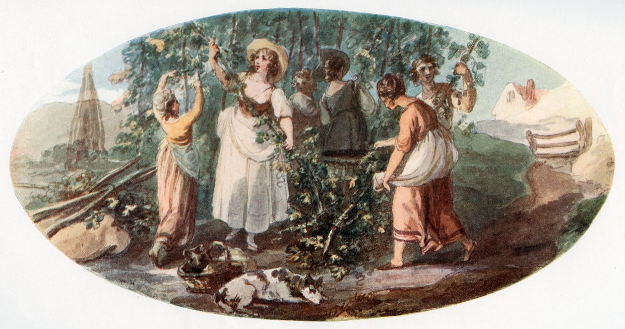 Hopfenernte, 1912 von William Hamilton
