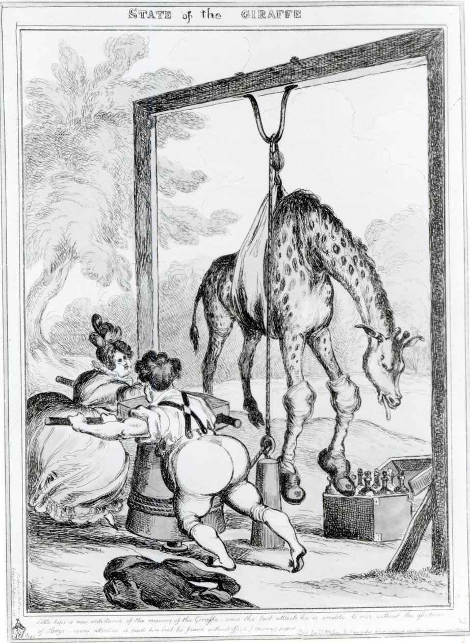 Zustand der Giraffe, 1829 von William Heath