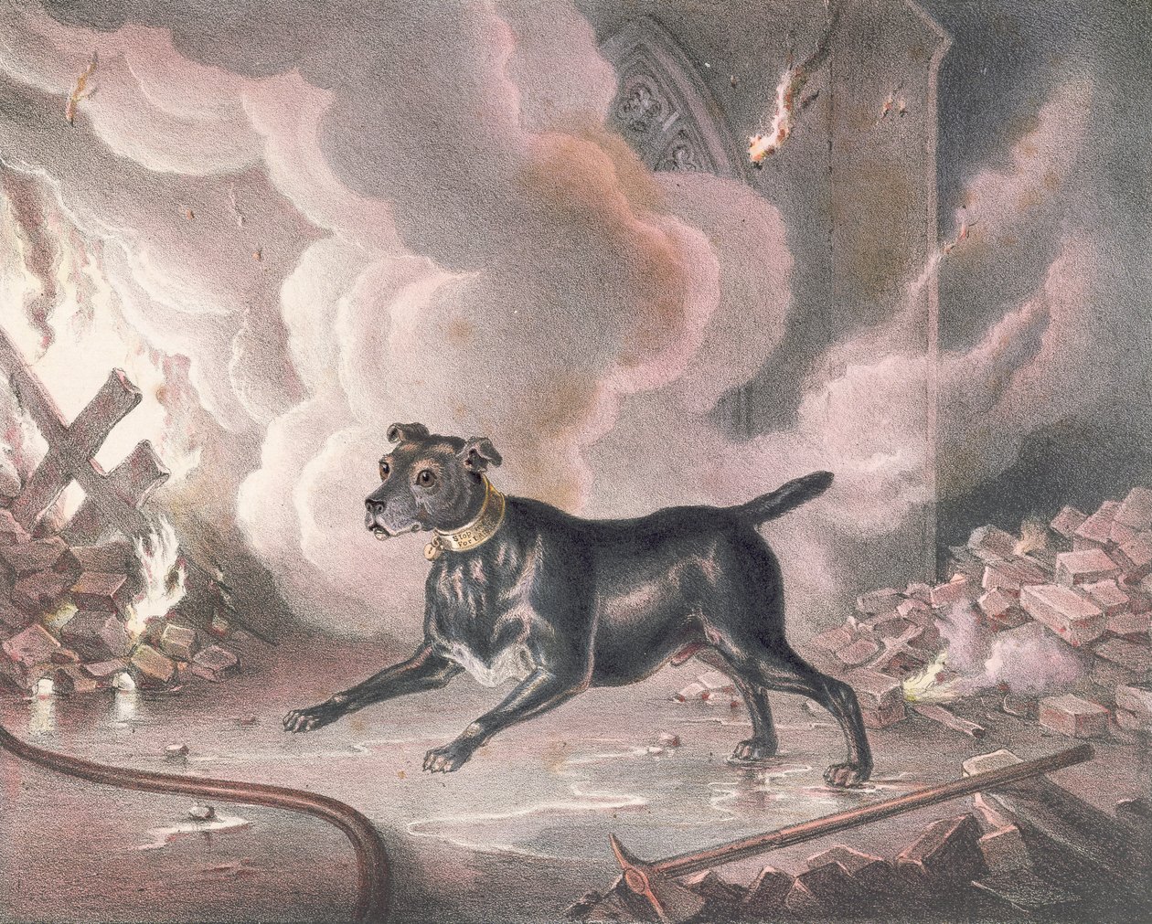 Der Londoner Feuerwehrhund von William Heath