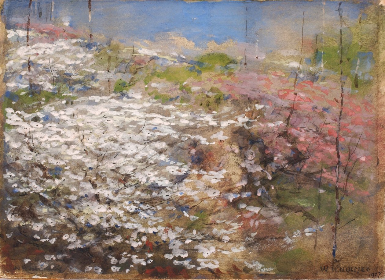 Blumenfeld von William Henry Holmes
