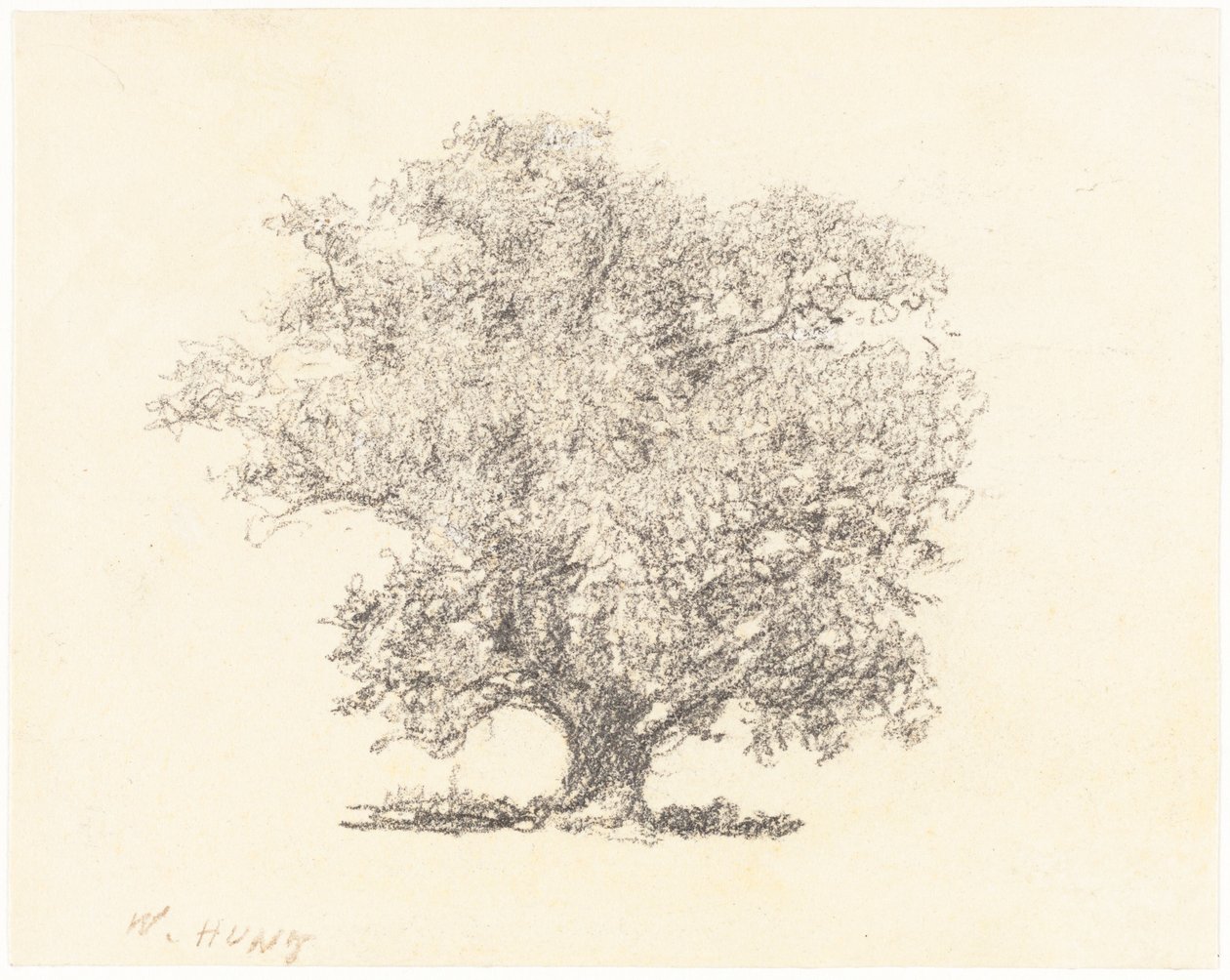 Ein Baum in voller Blüte von William Henry Hunt