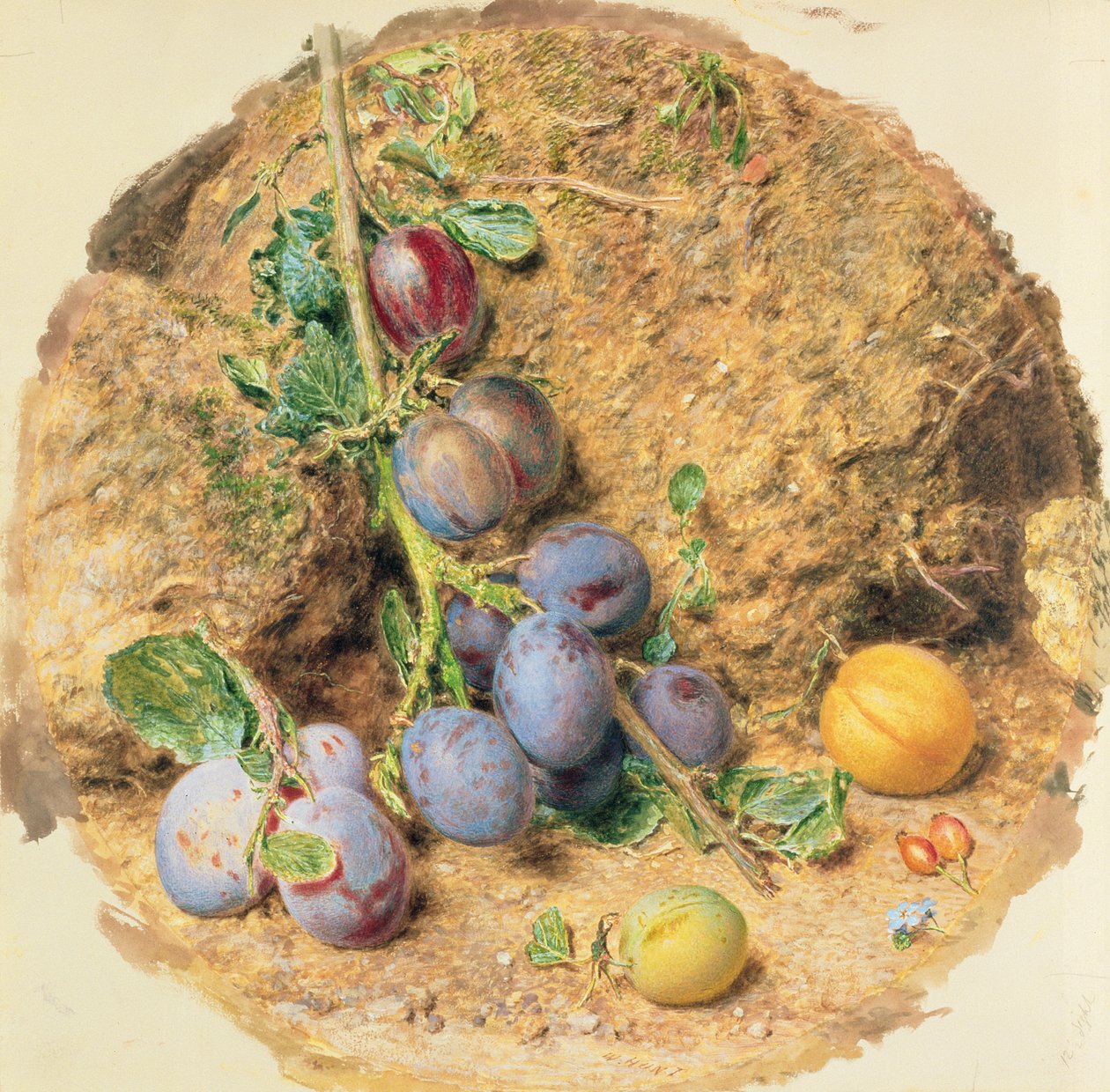 Pflaumen von William Henry Hunt