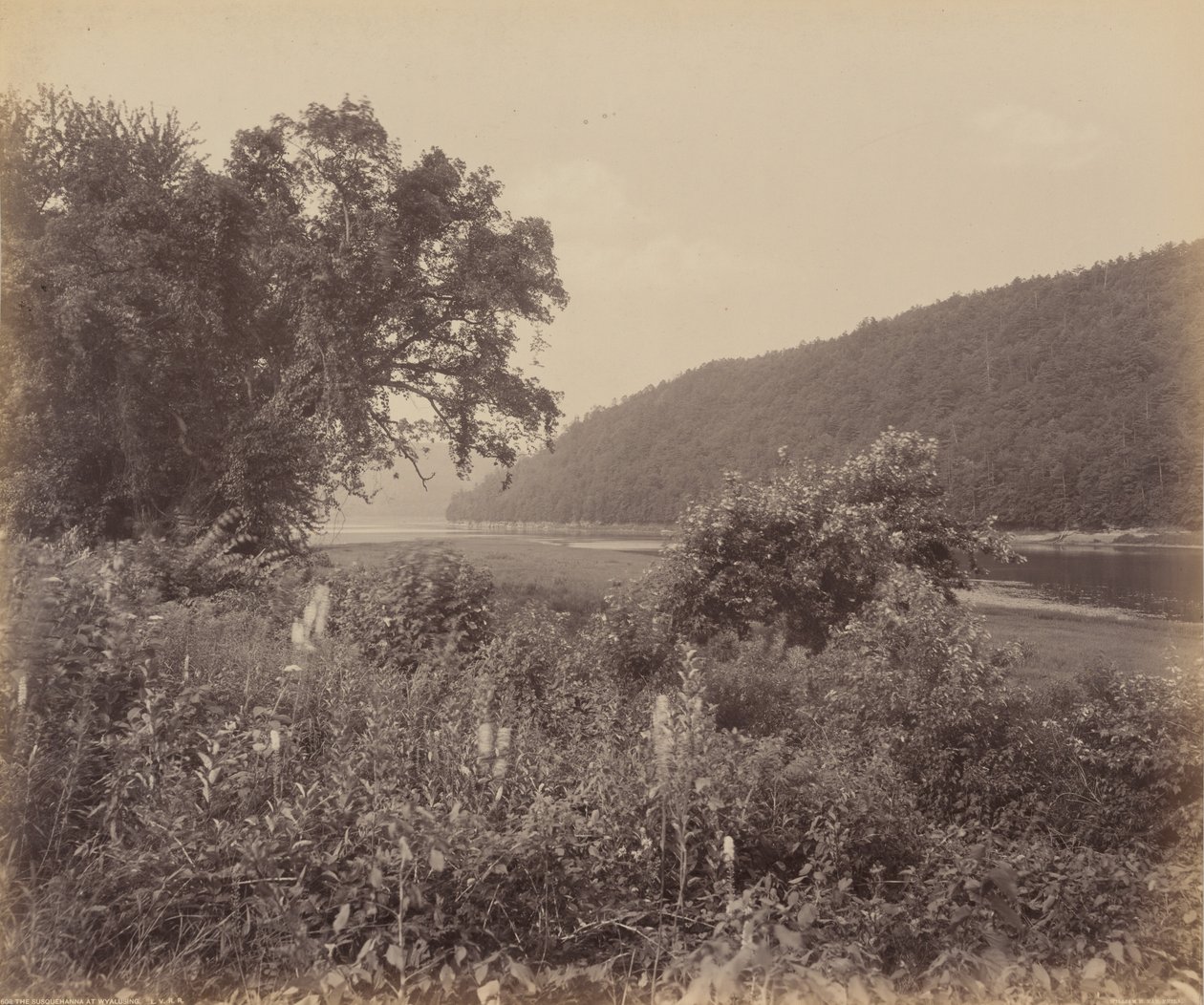 Der Susquehanna bei Wyalusing, um 1895 von William Herman Rau