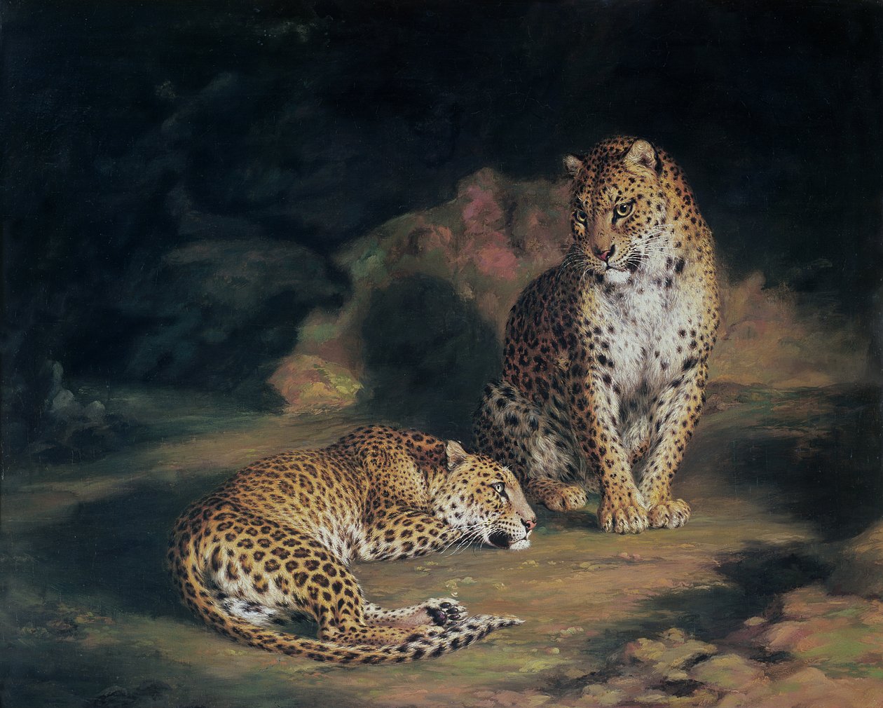 Ein Paar Leoparden, 1845 von William Huggins