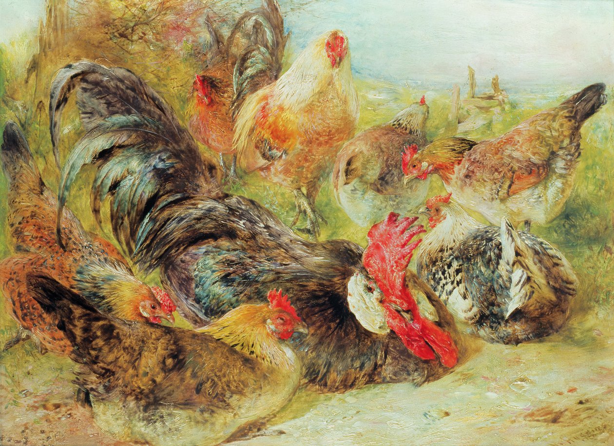 Geflügel von William Huggins