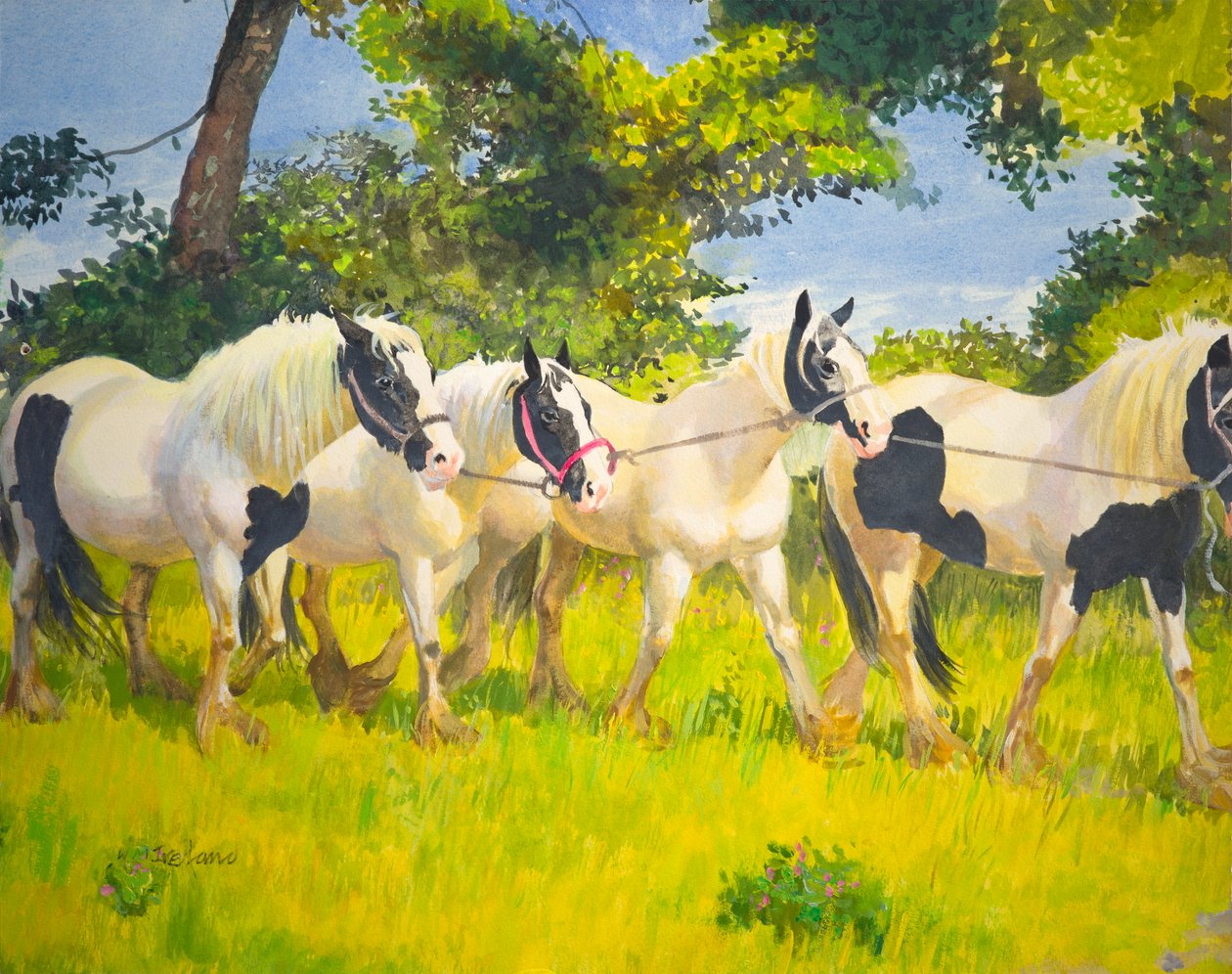 An der Leine von William Ireland