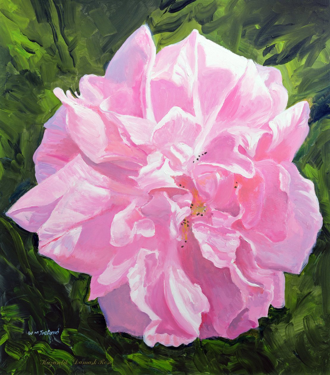 Viktorianische Rose von William Ireland