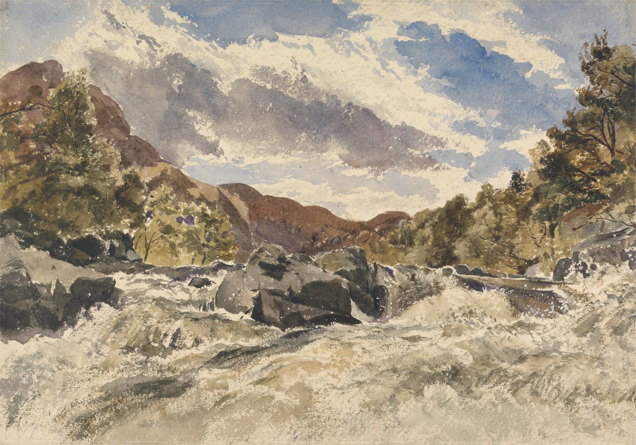 Ein Bergstrom von William James Muller