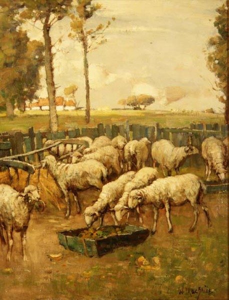 Der Schafstall von William McBride