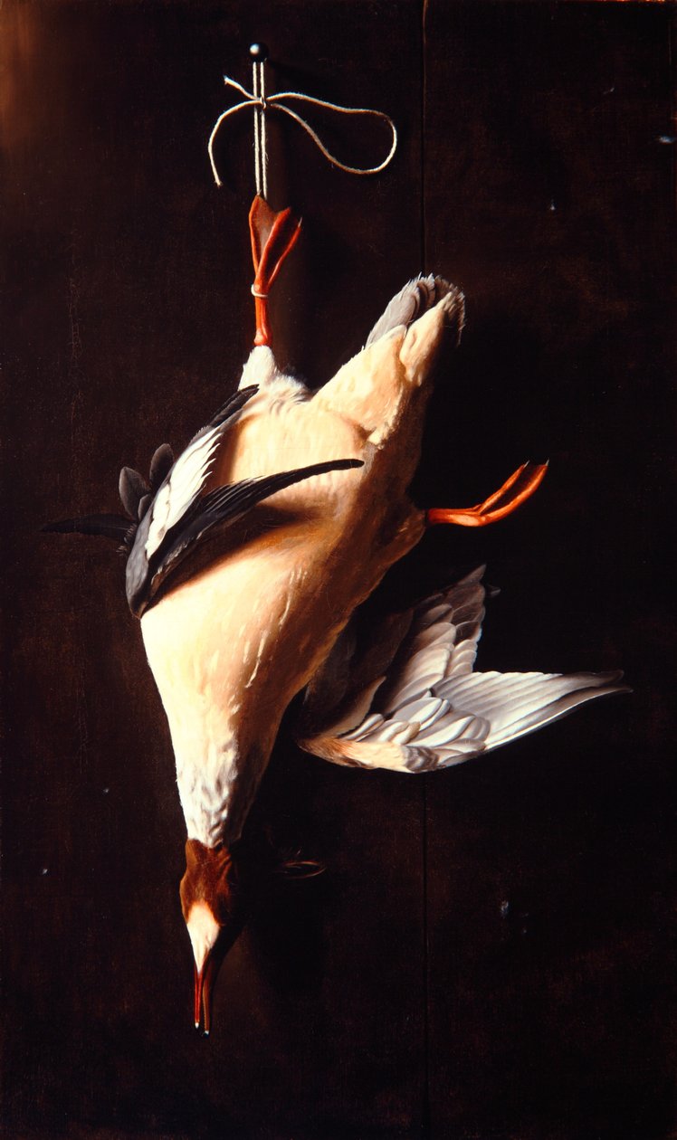 Gänsesäger von William Michael Harnett