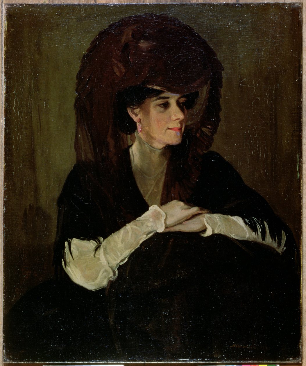 Der braune Schleier von William Nicholson
