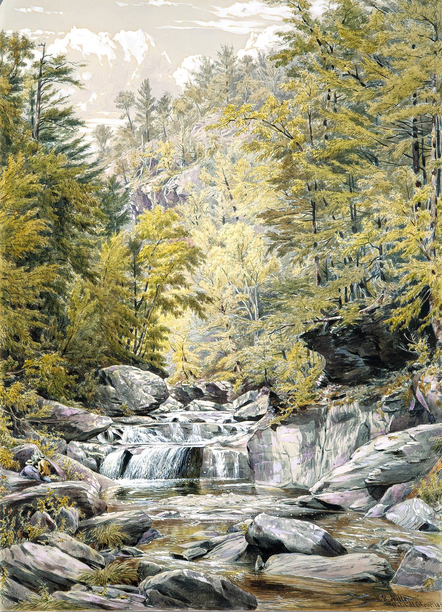 Catskill Clove, 1856 von William Rickarby Miller