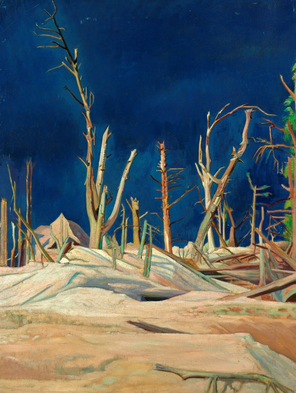 Zerstörte Bäume von William Rothenstein