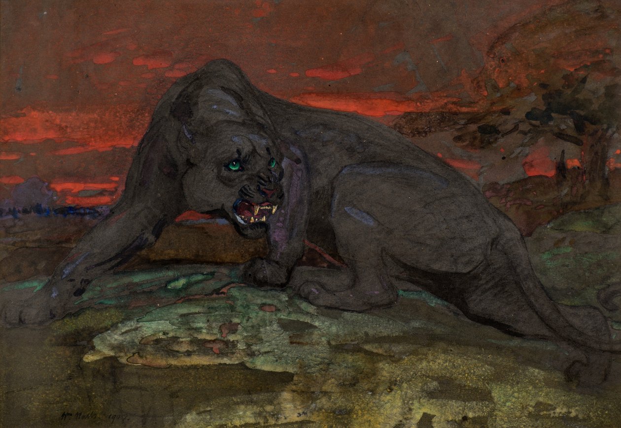 Schwarzer Panther von William Walls