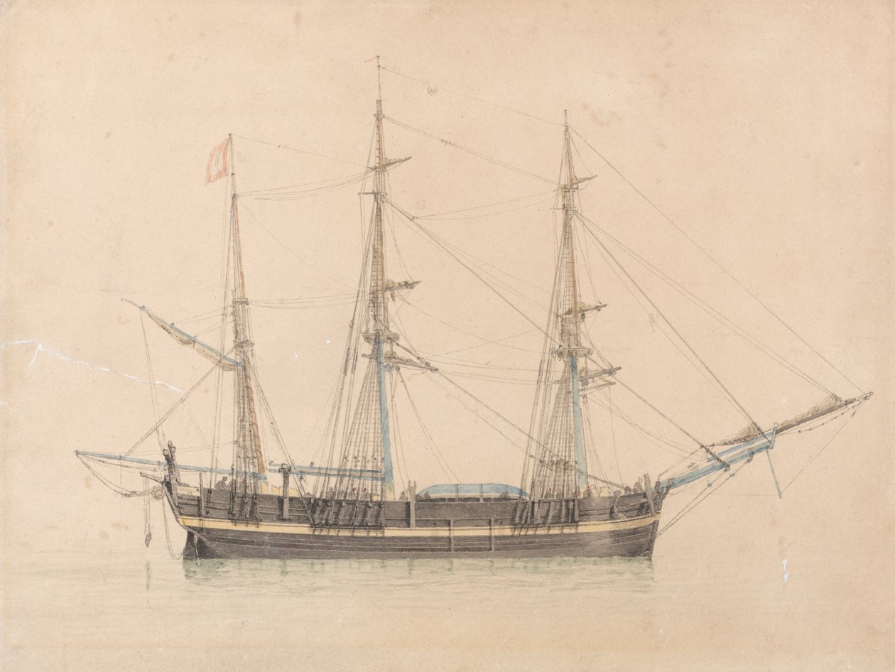 Der Walfänger "Truelove" aus Hull von William Ward