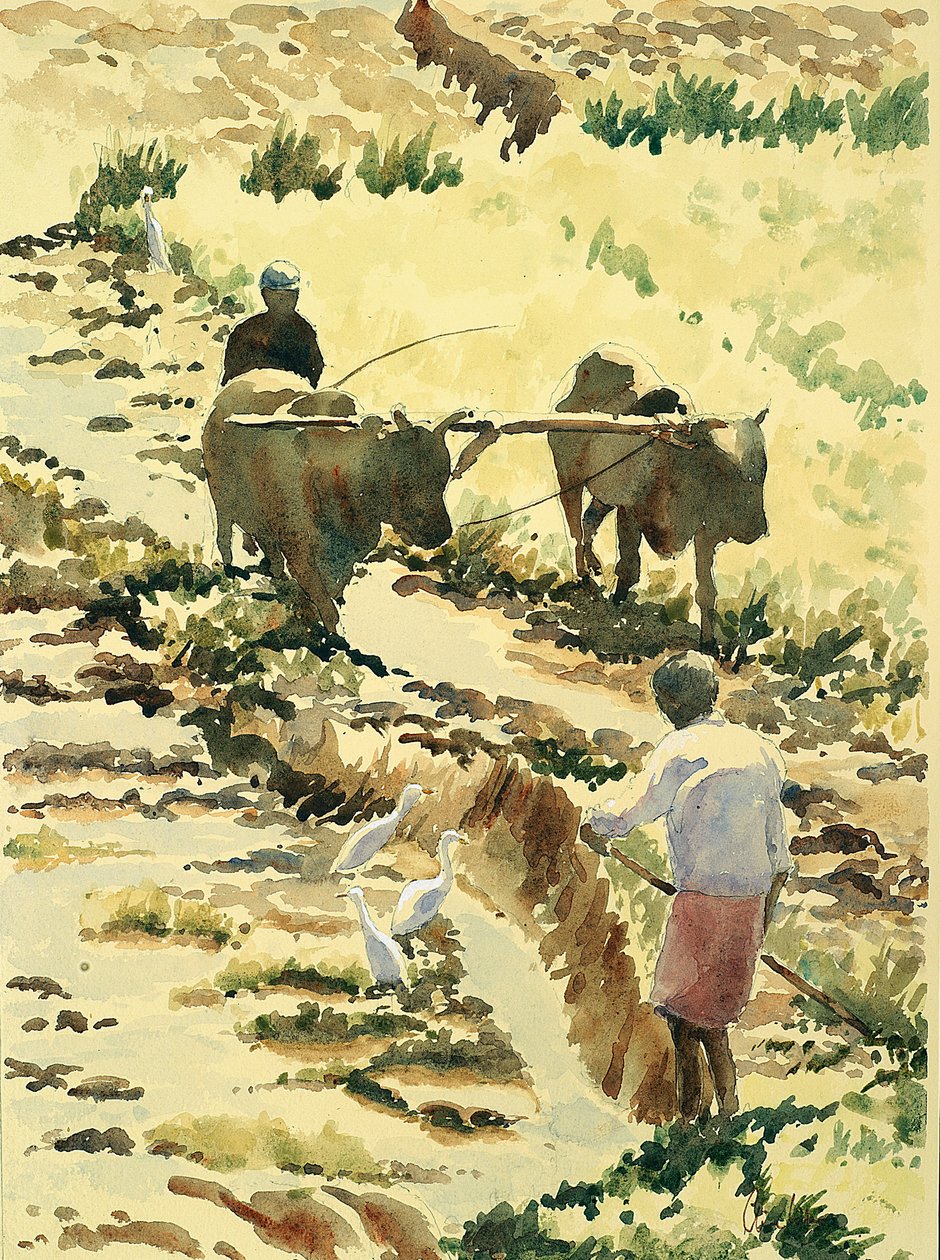 Vorbereitung des Reisfeldes von Wilson Clive