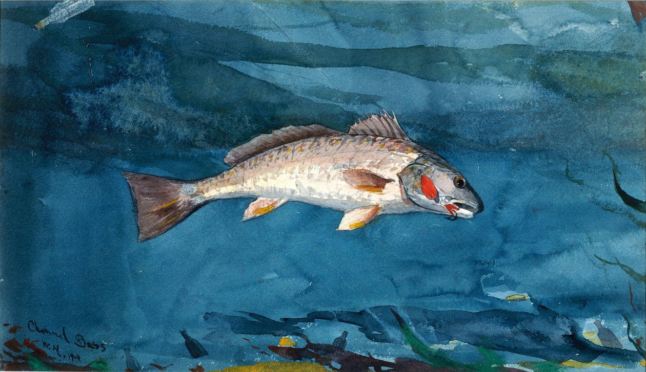 Kanalbarsch von Winslow Homer