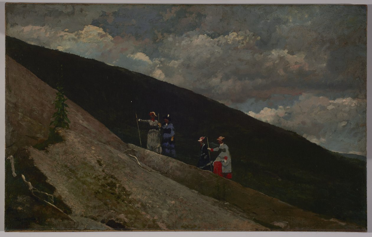 In den Bergen, 1877 von Winslow Homer