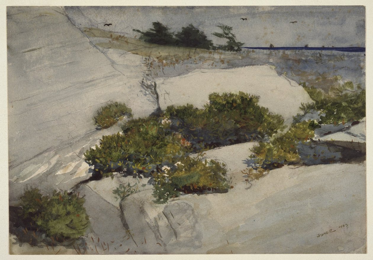 Klippen in Maine von Winslow Homer