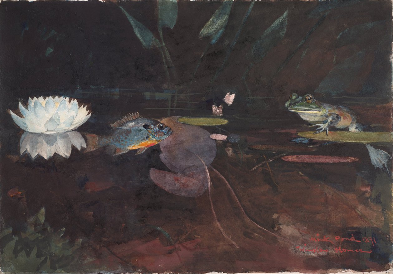 Mink-Teich von Winslow Homer