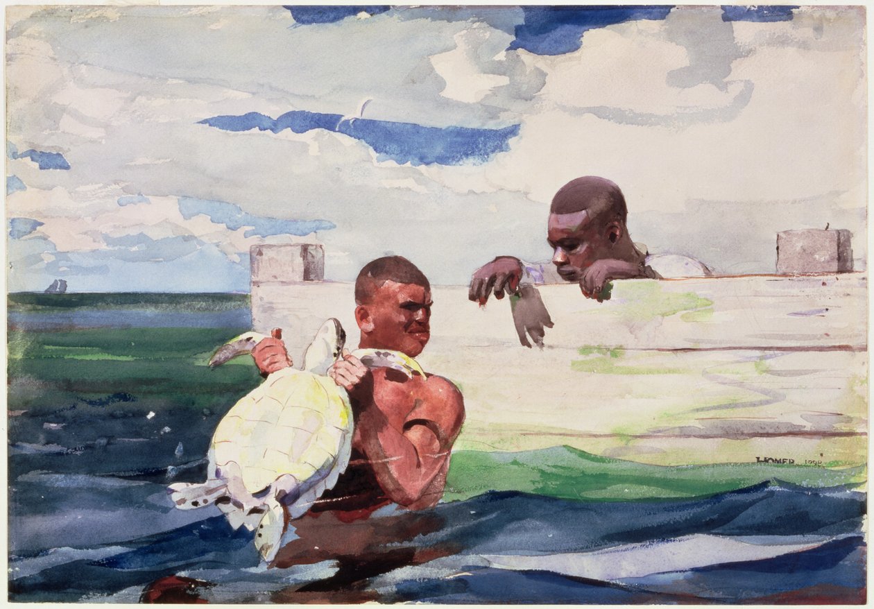 Der Schildkrötenpfuhl, 1898 von Winslow Homer