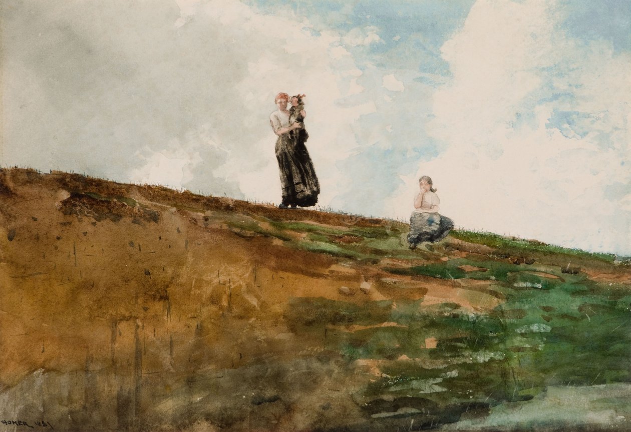 Beobachten von den Klippen von Winslow Homer