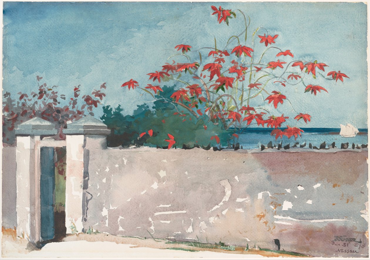 Eine Mauer, Nassau von Winslow Homer
