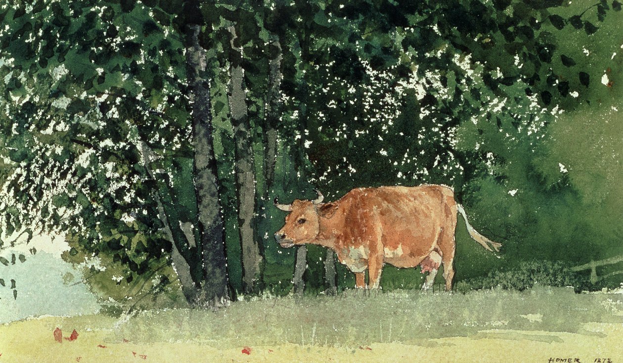 Kuh auf der Weide von Winslow Homer