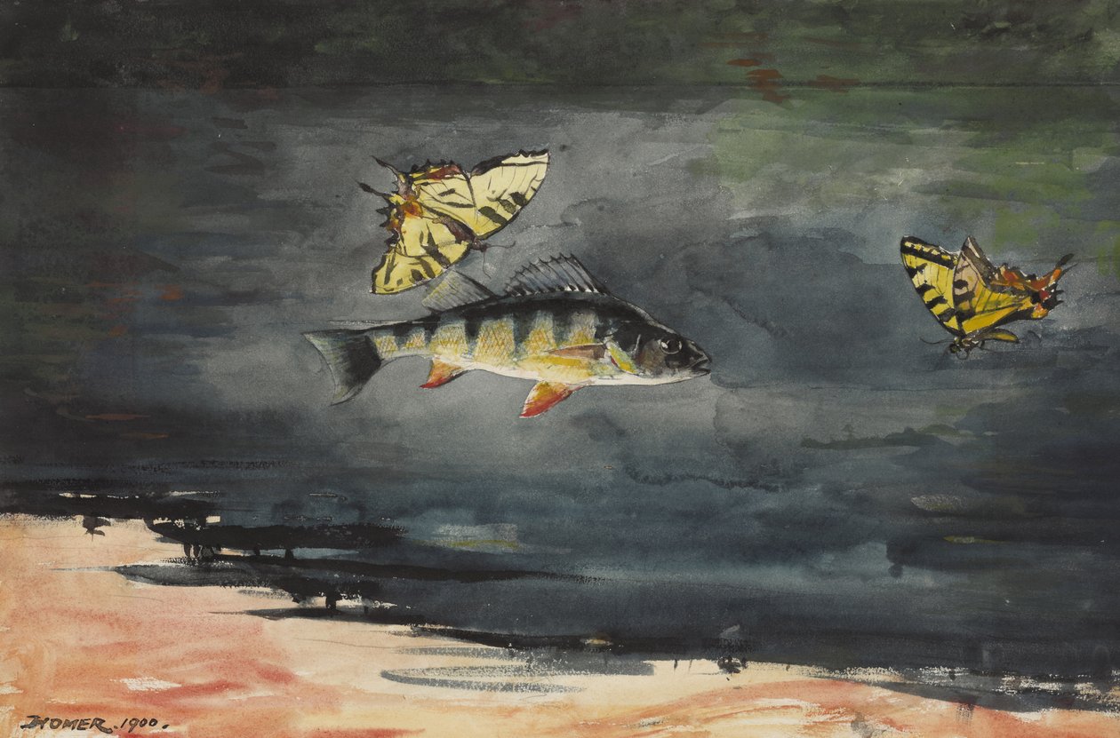 Fische und Schmetterlinge, 1900 von Winslow Homer