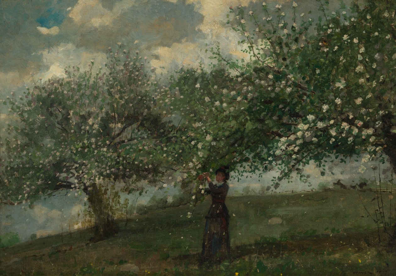 Mädchen pflückt Apfelblüten von Winslow Homer