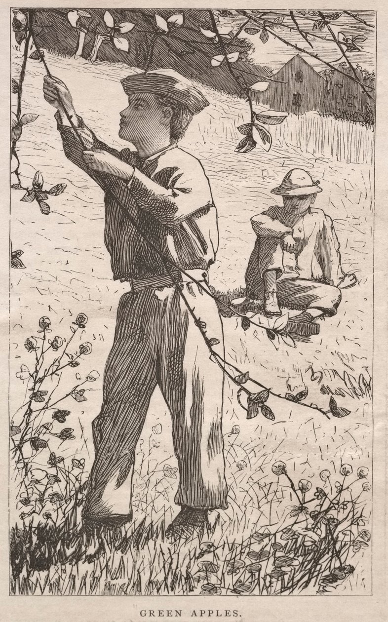 Grüne Äpfel von Winslow Homer