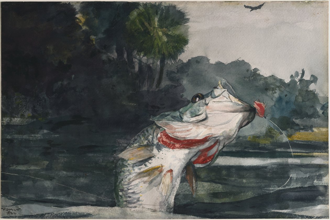 Lebensgroßer Schwarzbarsch von Winslow Homer