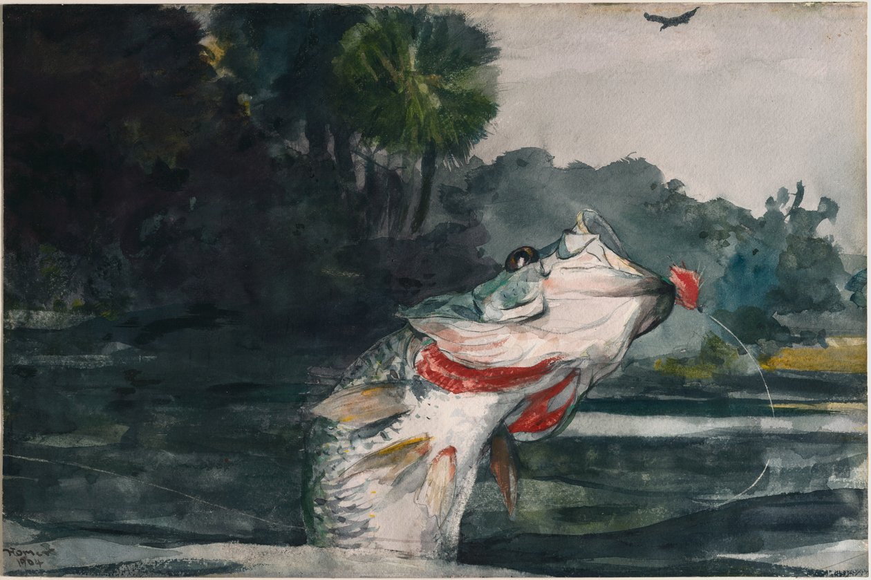 Lebensgroßer Schwarzbarsch von Winslow Homer