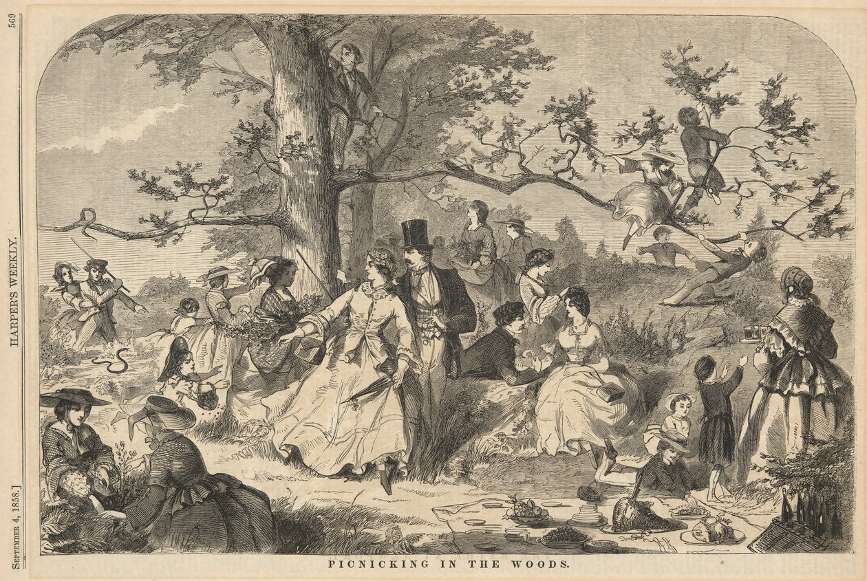 Picknick im Wald, aus Harper von Winslow Homer