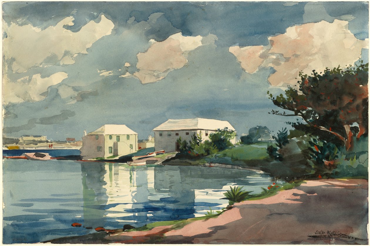 Salzkessel, Bermuda, 1899 von Winslow Homer