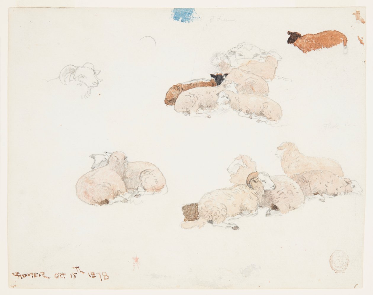Schafe ruhen von Winslow Homer