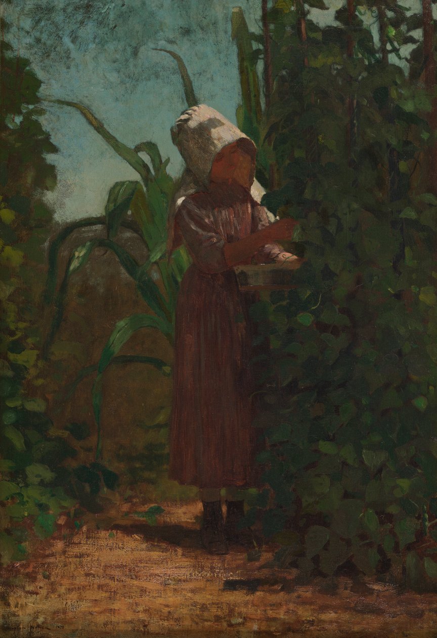Der Bohnenpflücker von Winslow Homer
