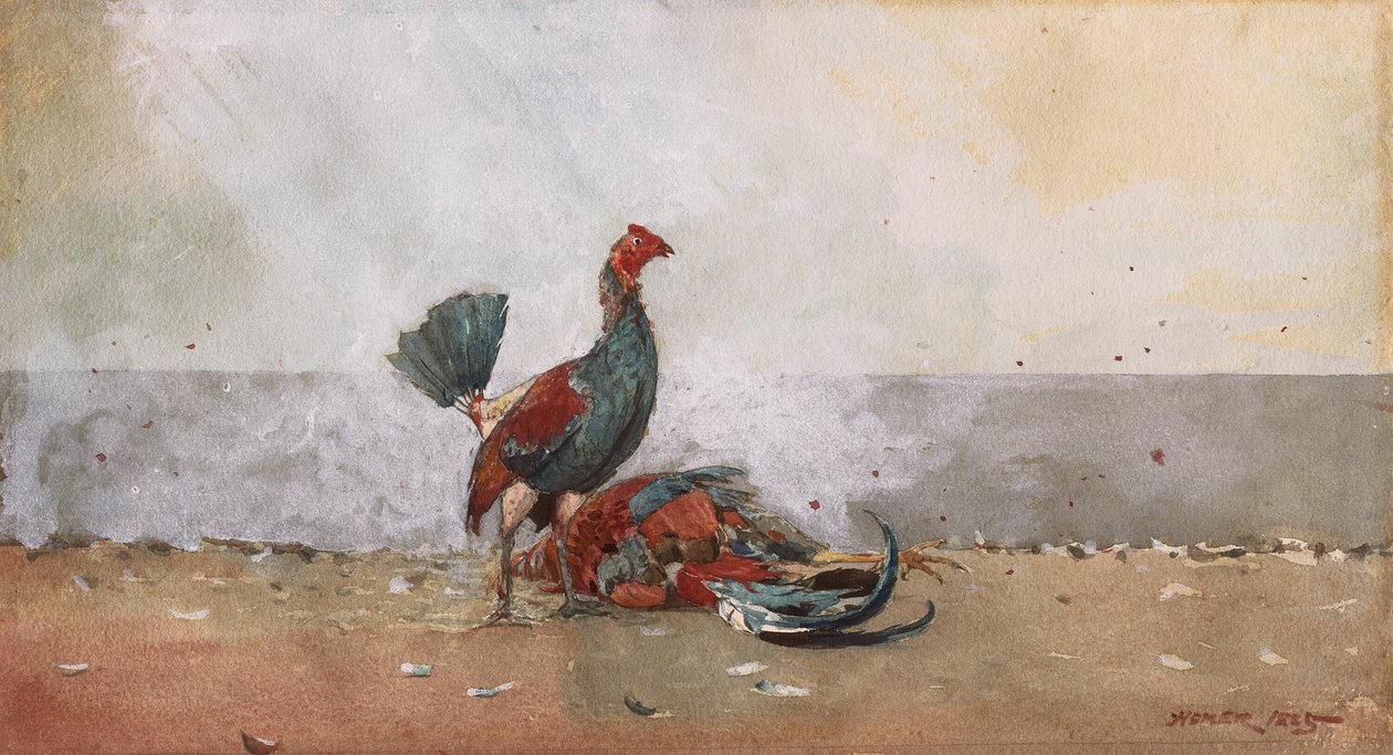 Der Hahnenkampf von Winslow Homer
