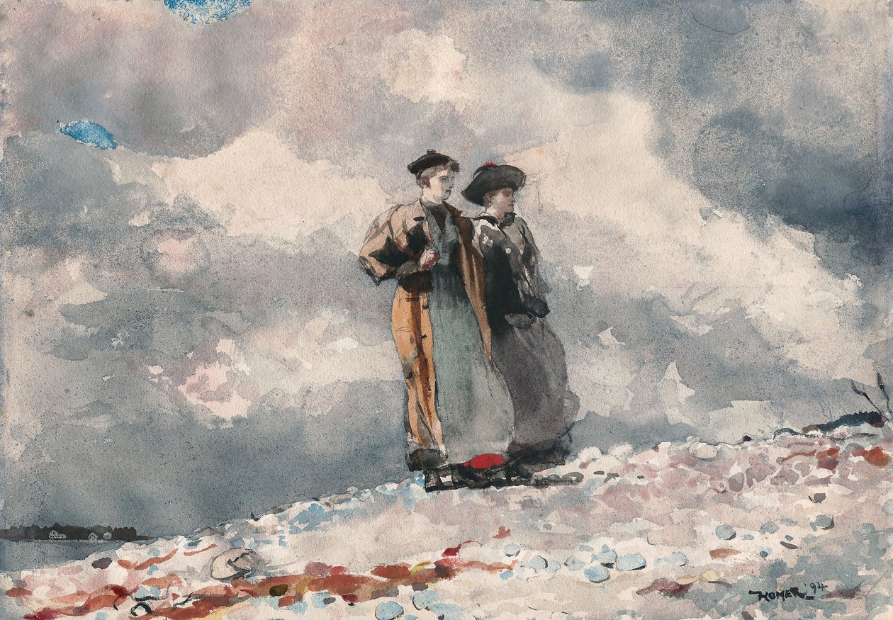 Der Ausblick, Küste von Maine von Winslow Homer