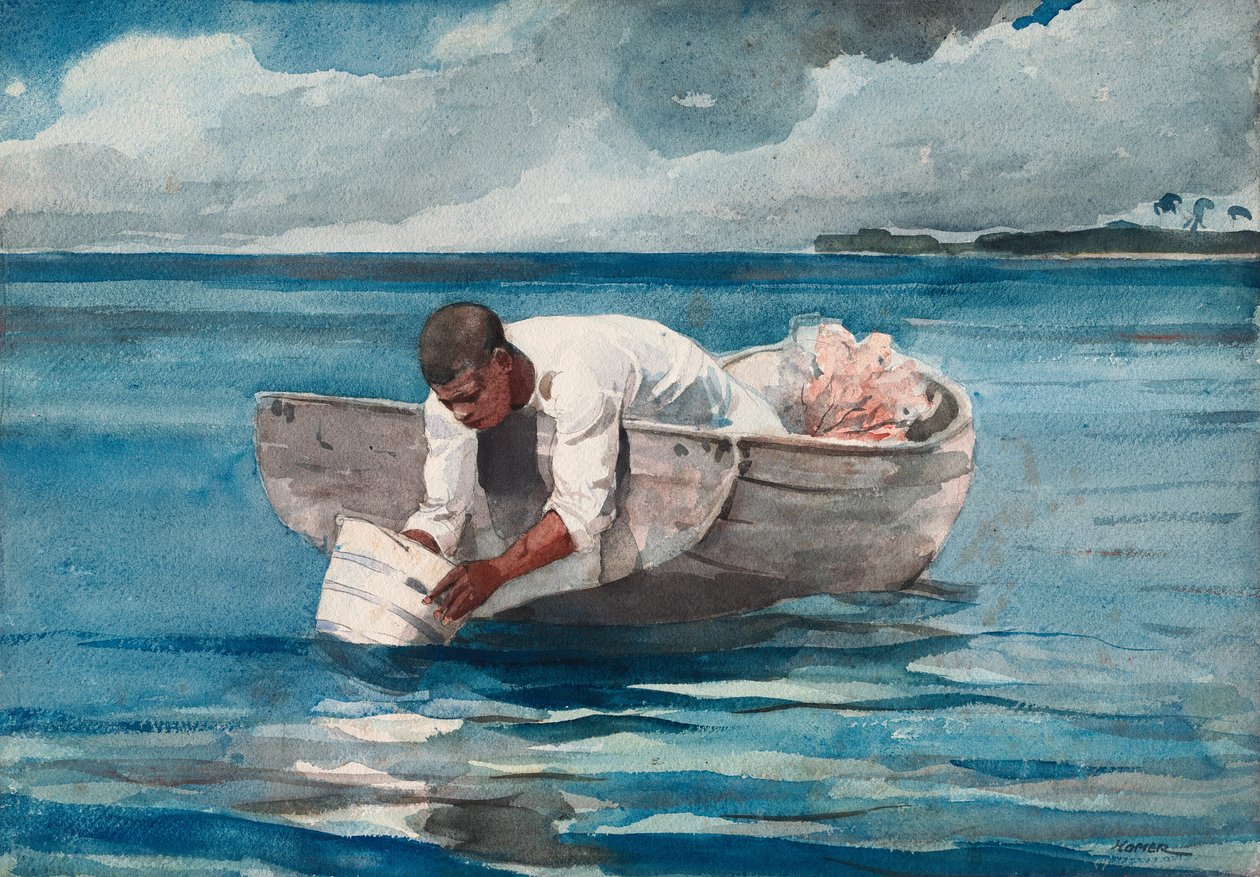 Der Wasserfächer von Winslow Homer