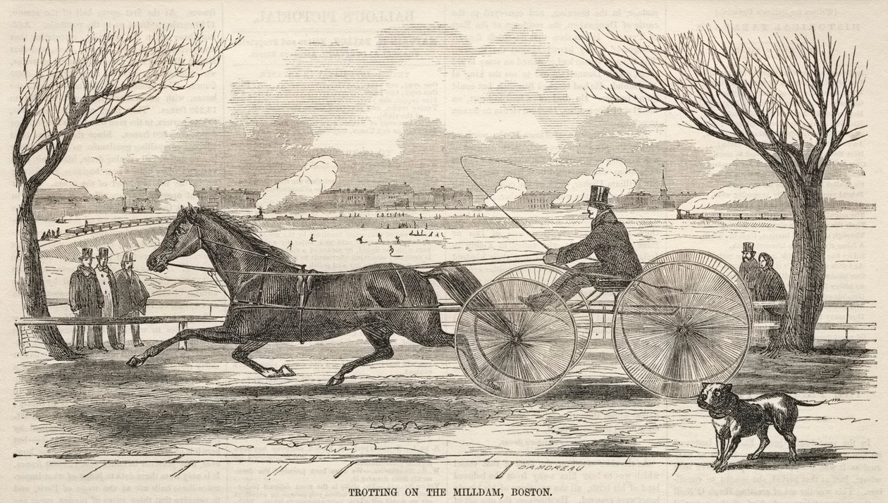 Trab auf dem Mühlendamm, Boston von Winslow Homer