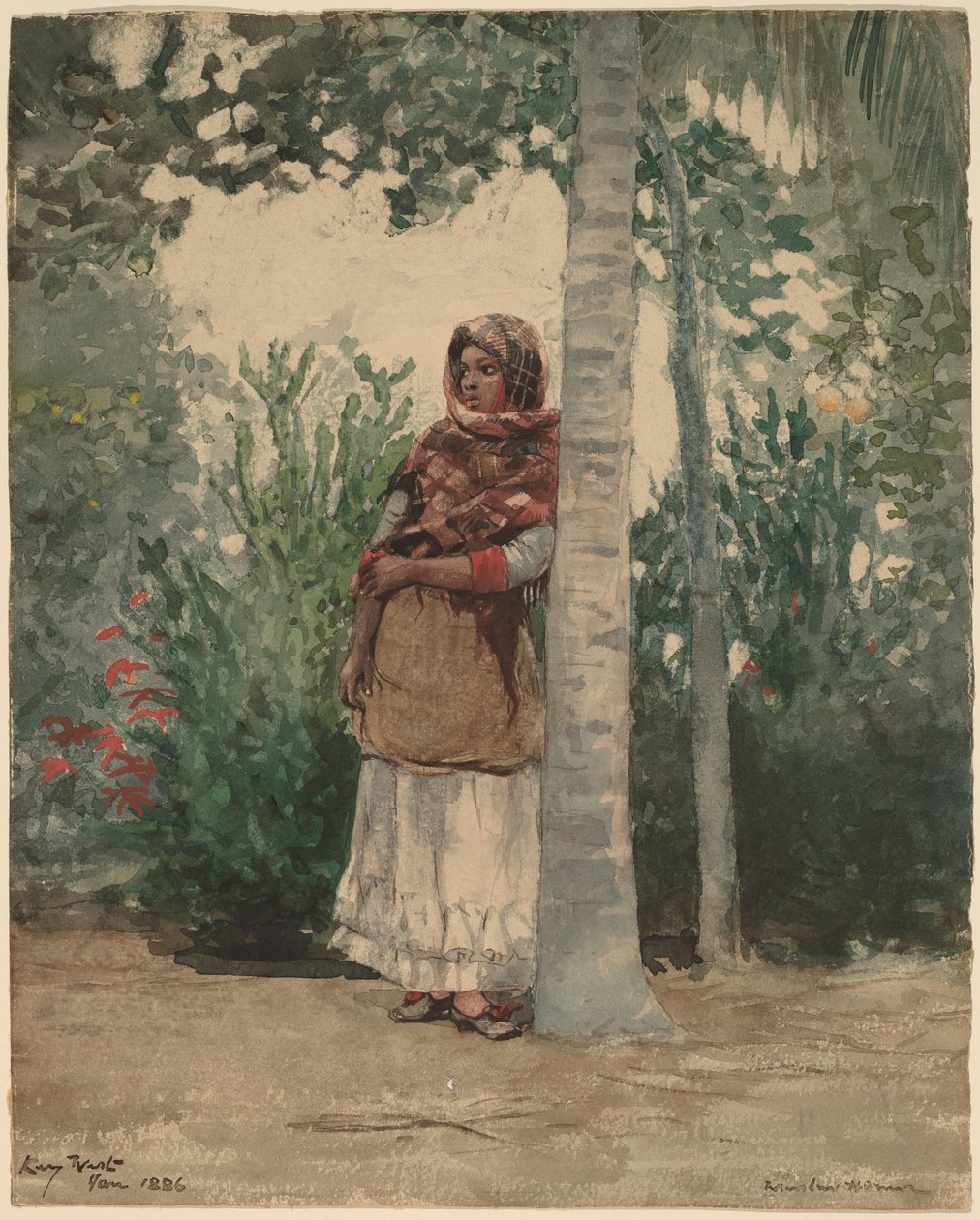 Unter einer Palme von Winslow Homer