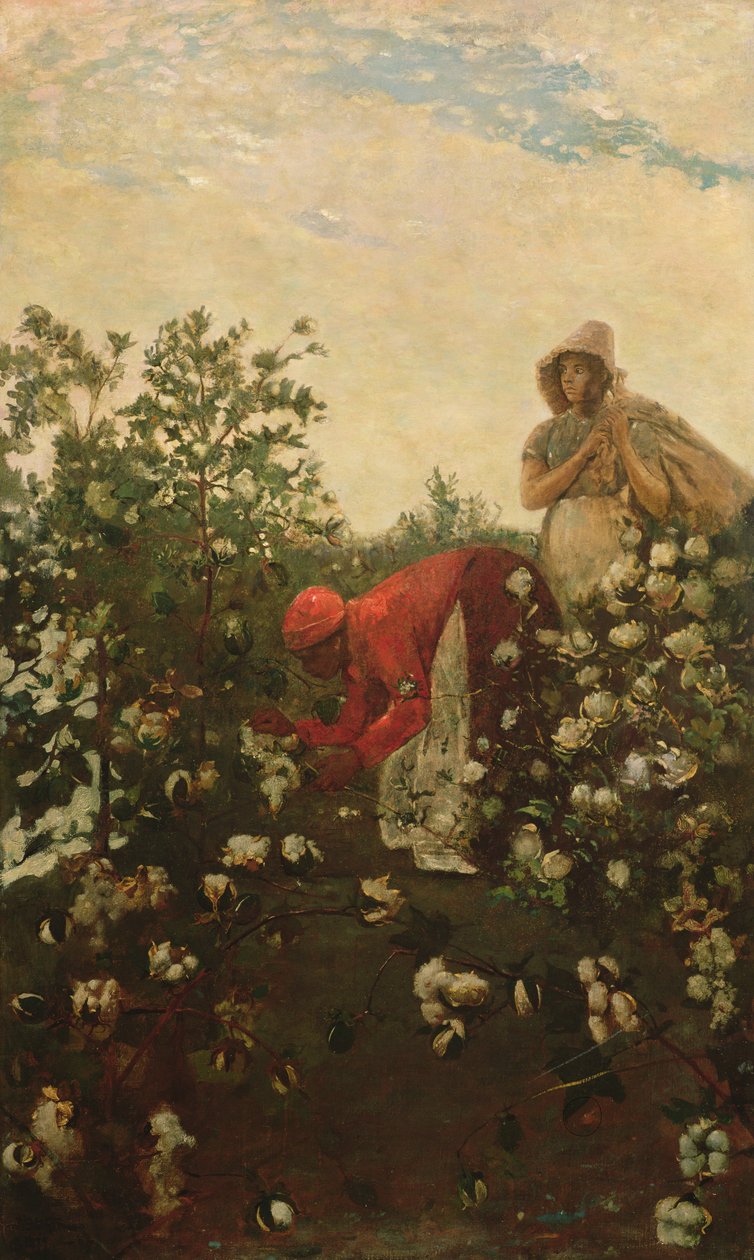 Hochland-Baumwolle, 1875 von Winslow Homer