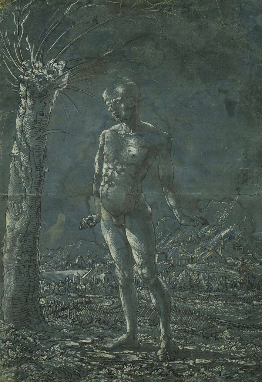 Stehender nackter Mann in einer Landschaft, ca. 1512 von Wolf Huber